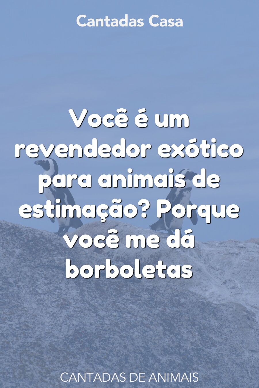 animais cantadas