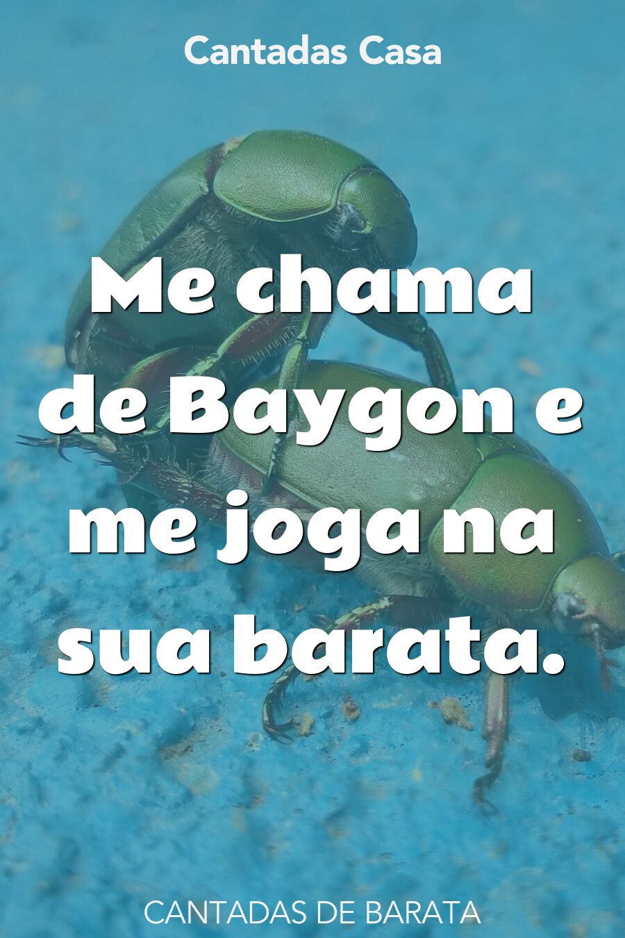 barata cantadas