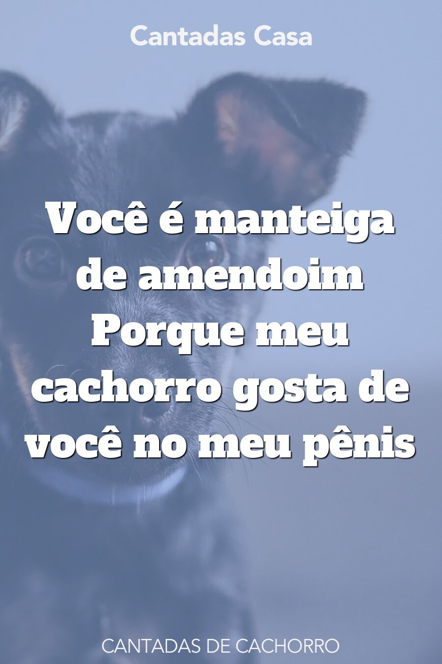 cachorro cantadas