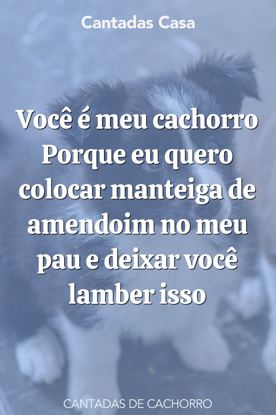 cachorro cantadas