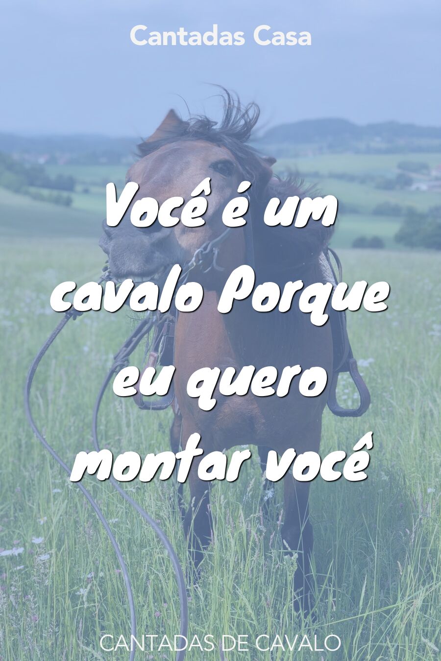 cavalo cantadas