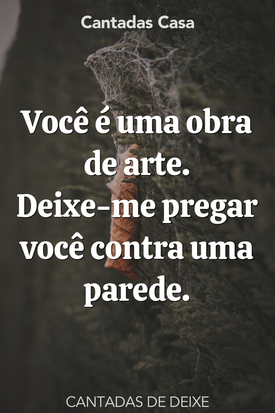 deixe cantadas