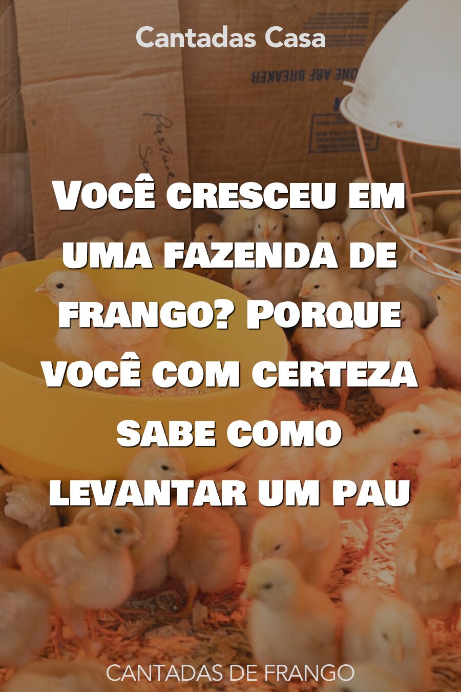 frango cantadas