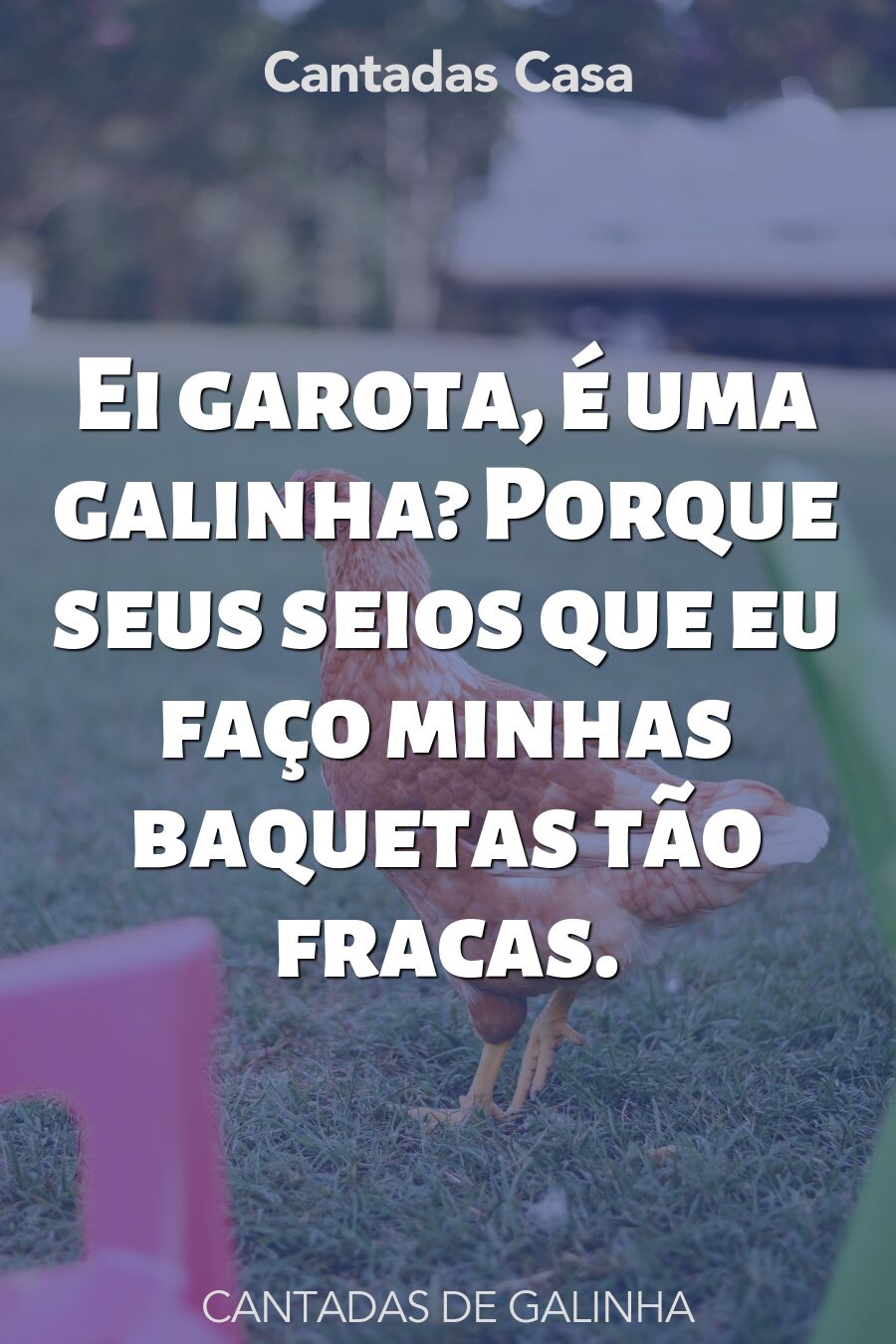 galinha cantadas