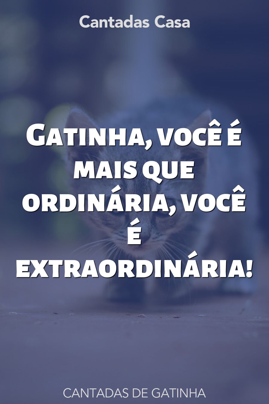 gatinha cantadas