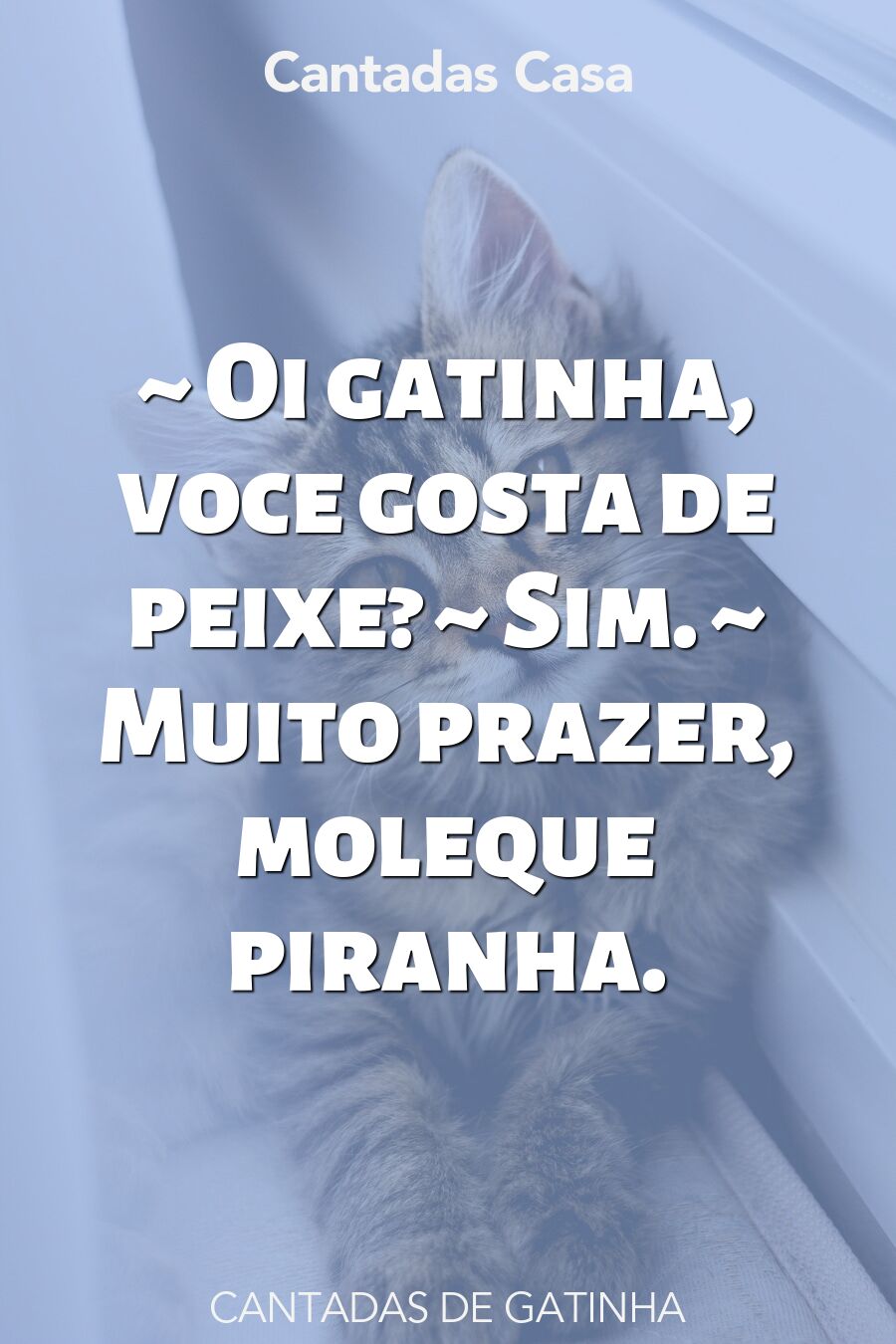 gatinha cantadas