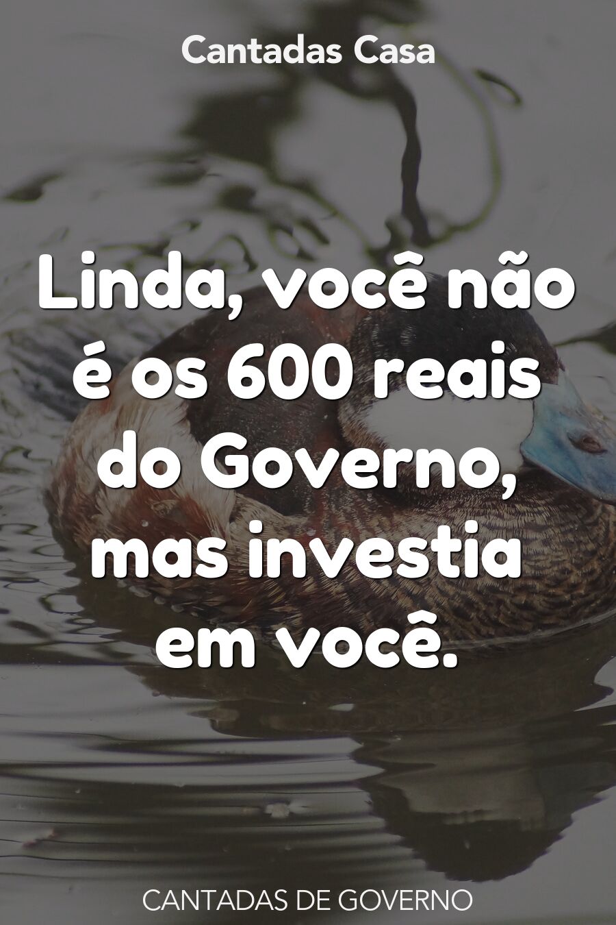 governo cantadas