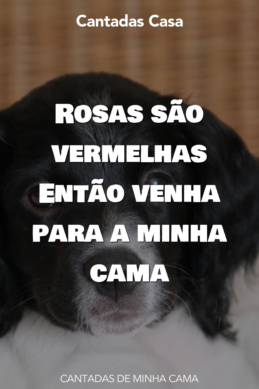 minha cama cantadas