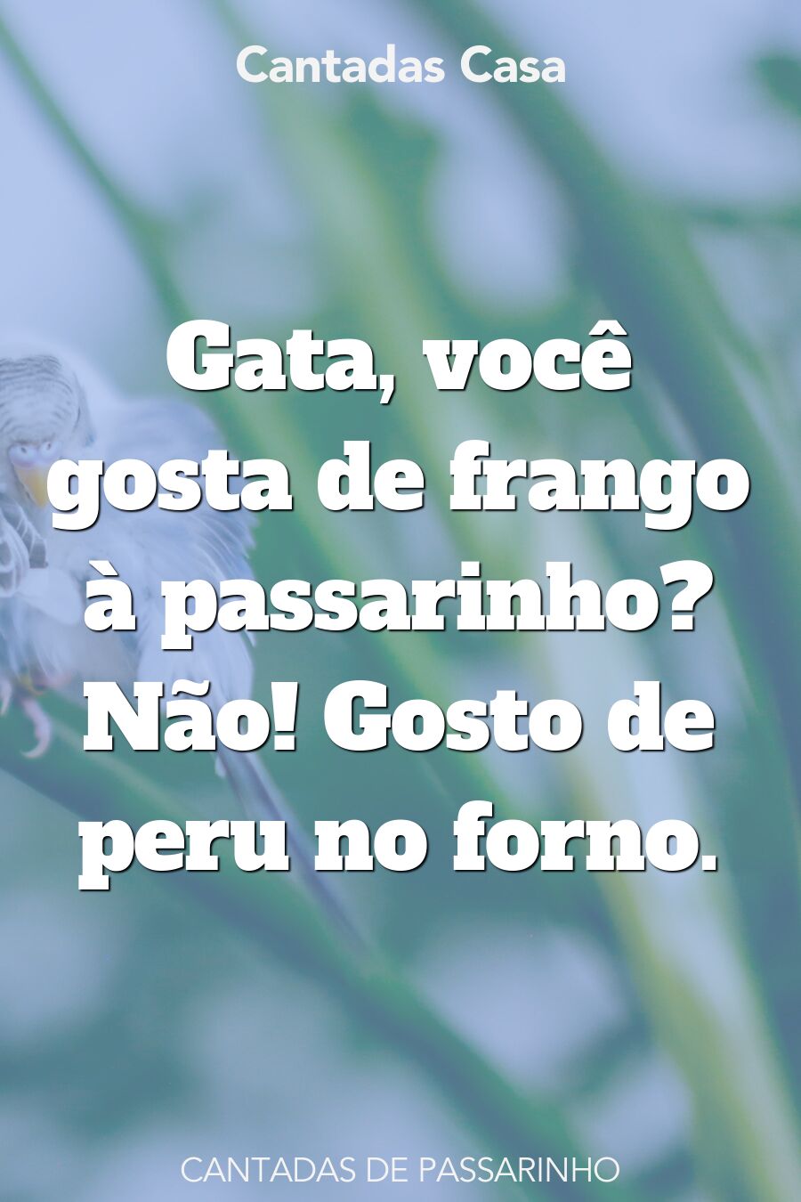 passarinho cantadas