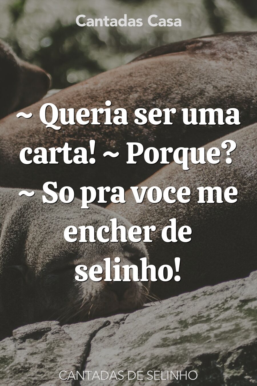 selinho cantadas