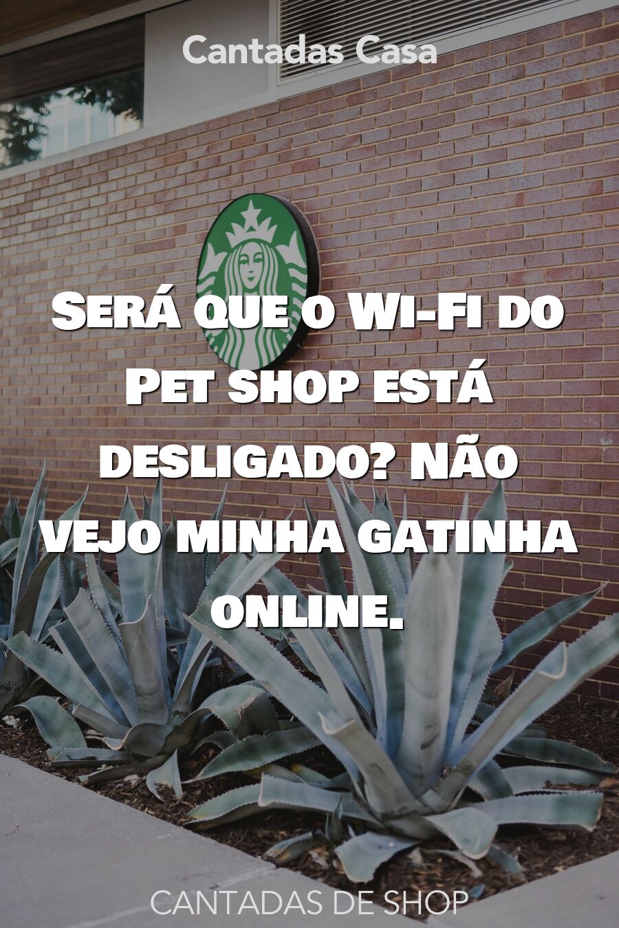 shop cantadas