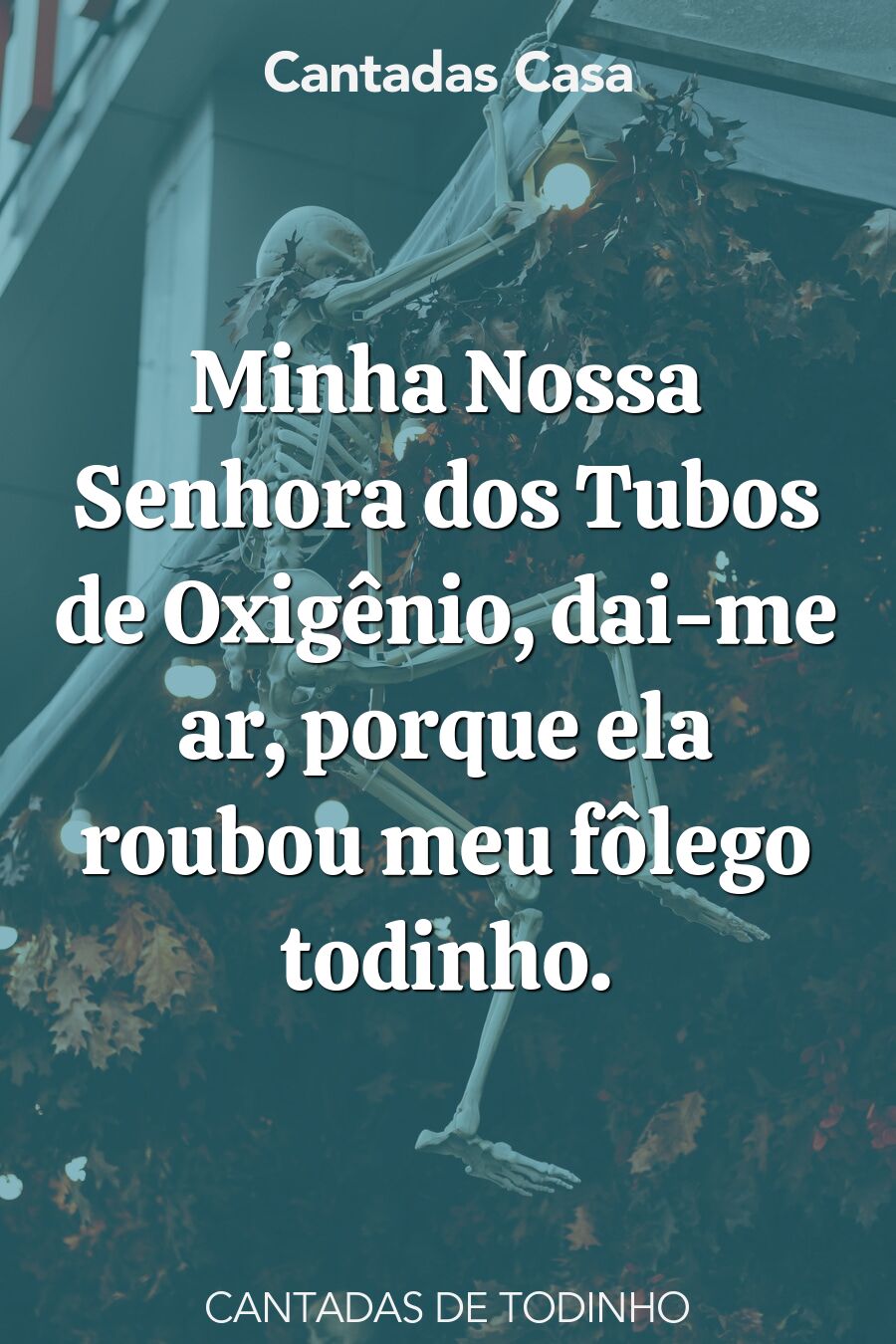 todinho cantadas