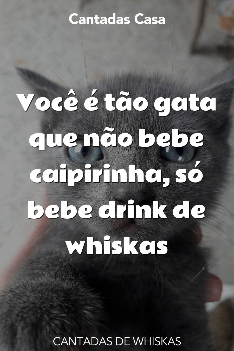 whiskas cantadas